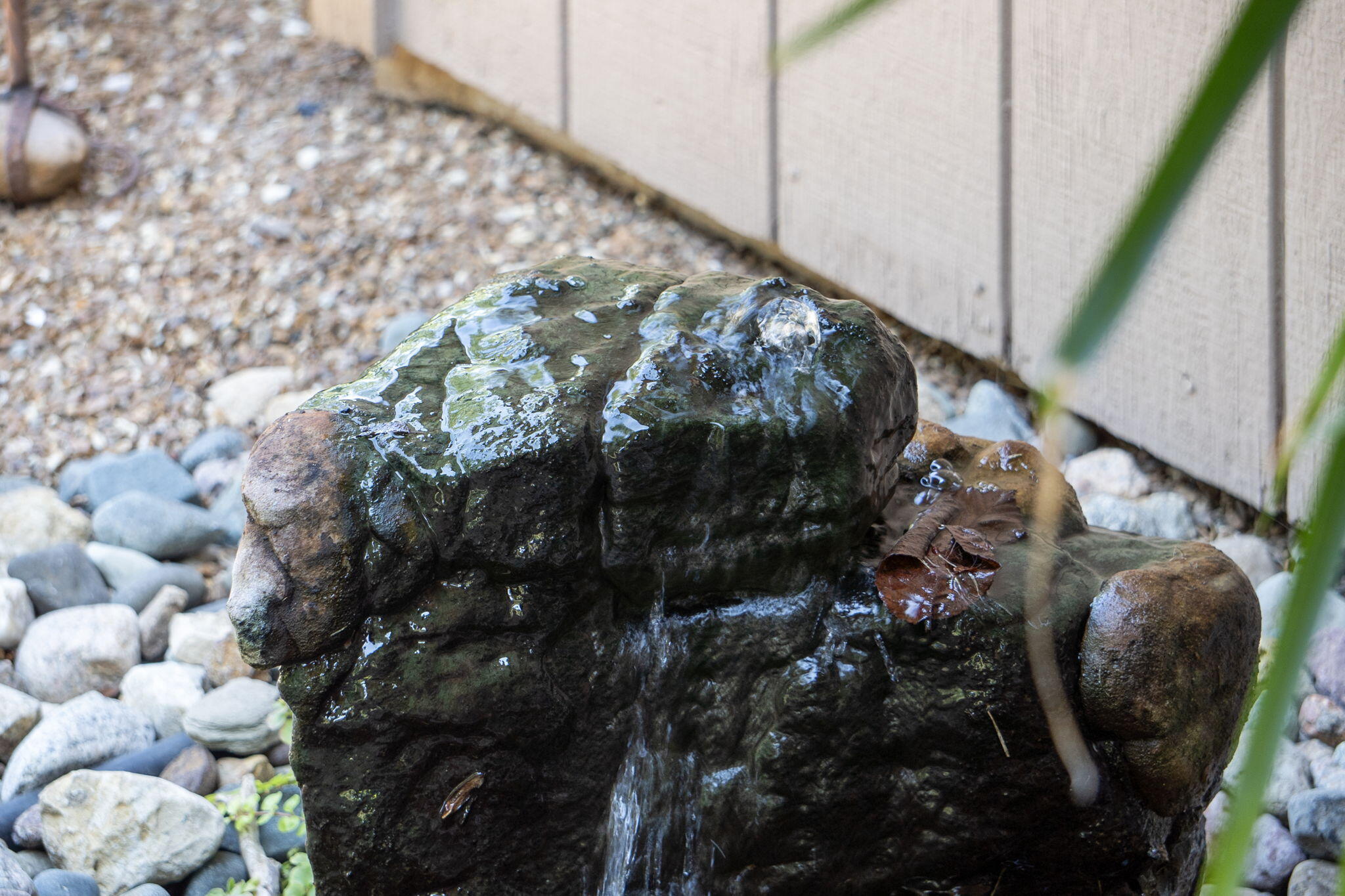 1704 Cedar Ridge Way Property Photo 8