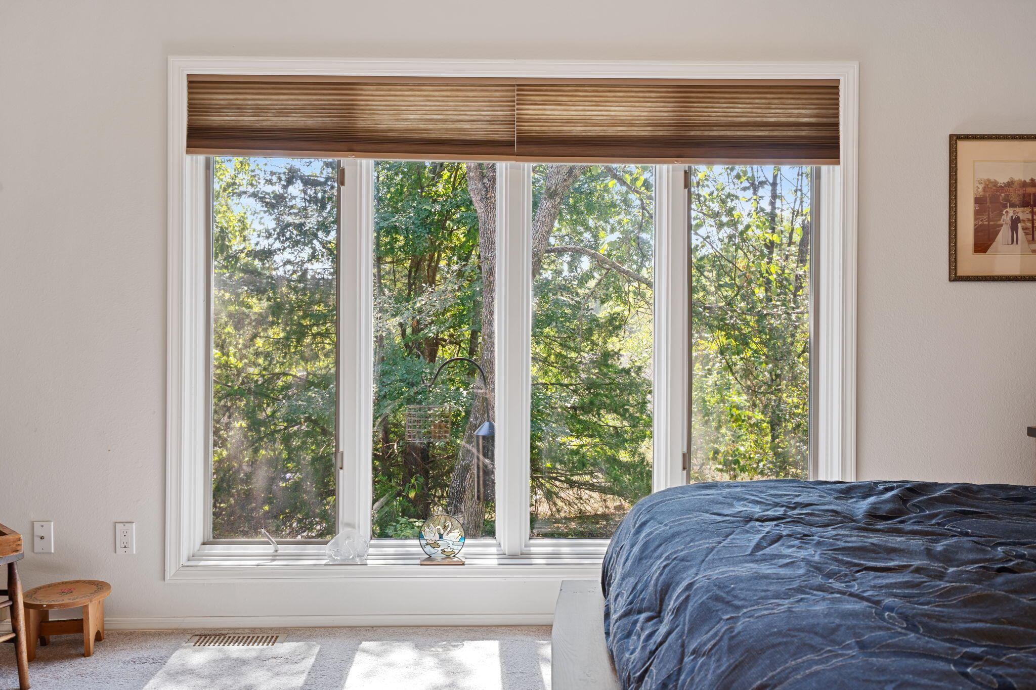 1704 Cedar Ridge Way Property Photo 29