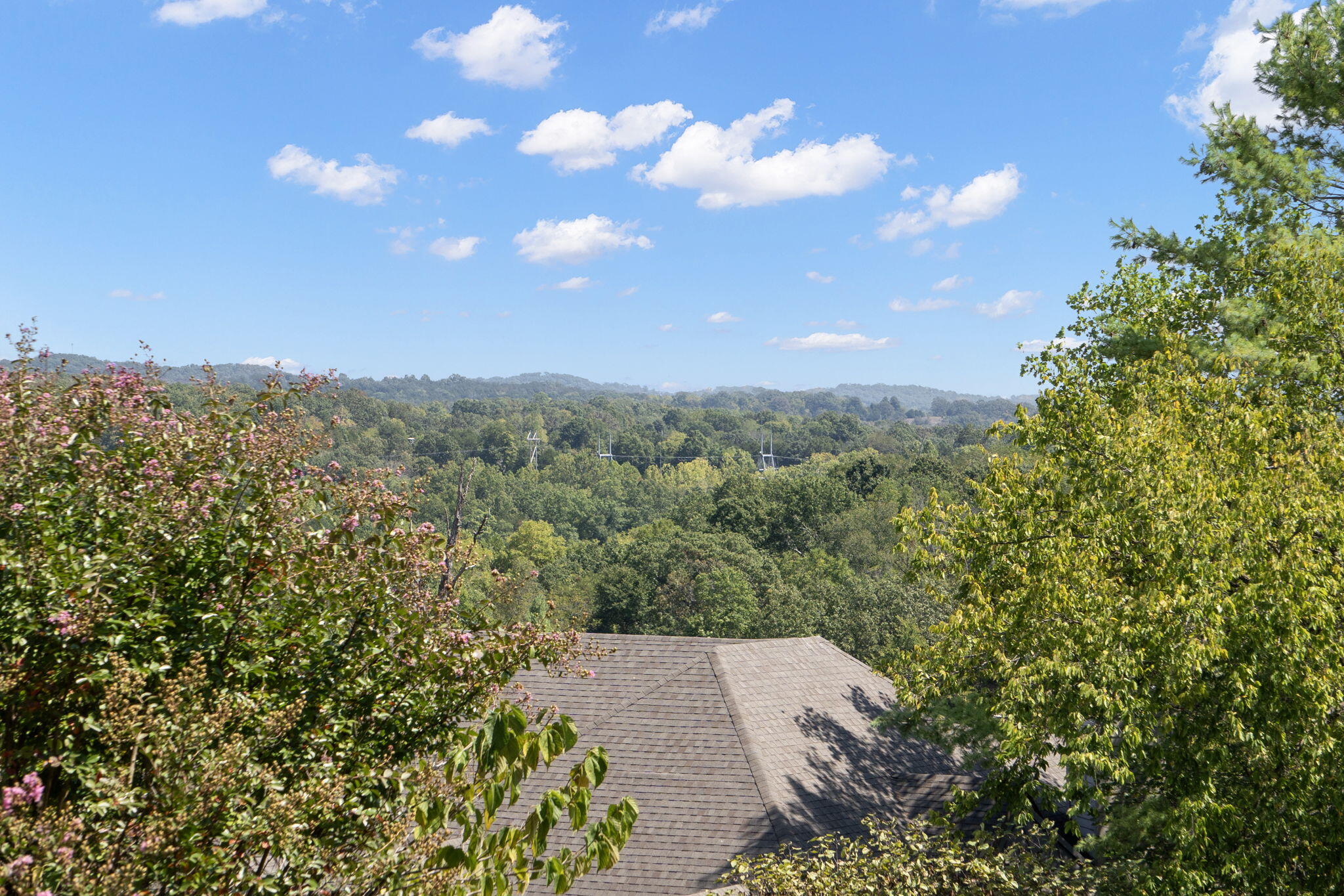 1704 Cedar Ridge Way Property Photo 40