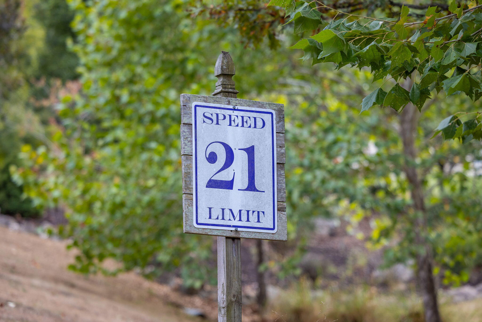 Lot 21 Saddlebroke Phase 2 Property Photo 18