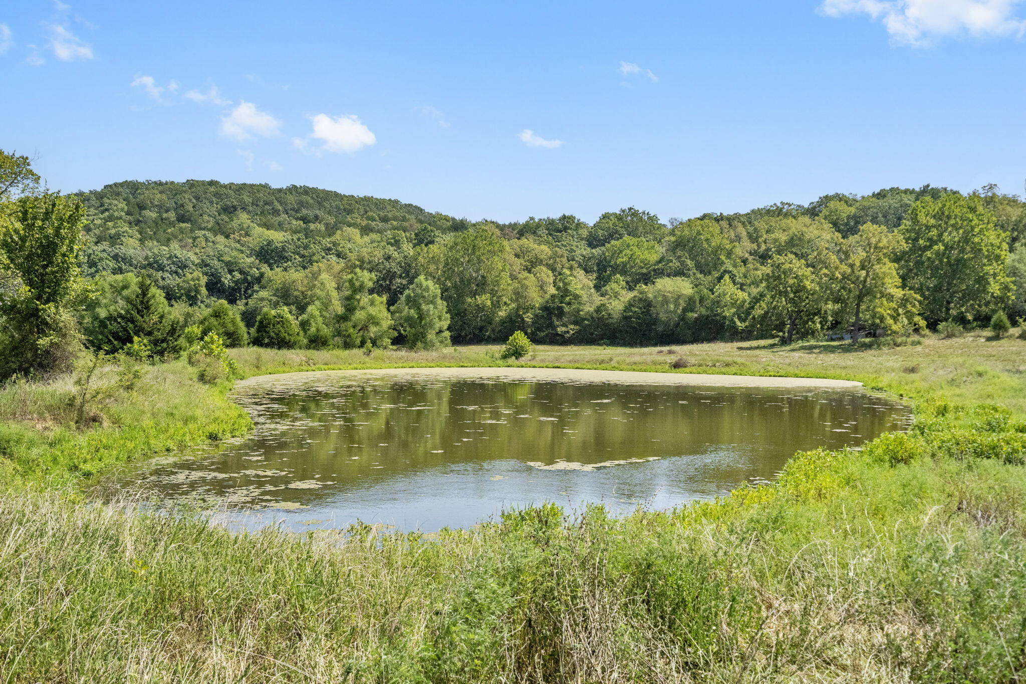16311 Sunburst Road Property Photo 34