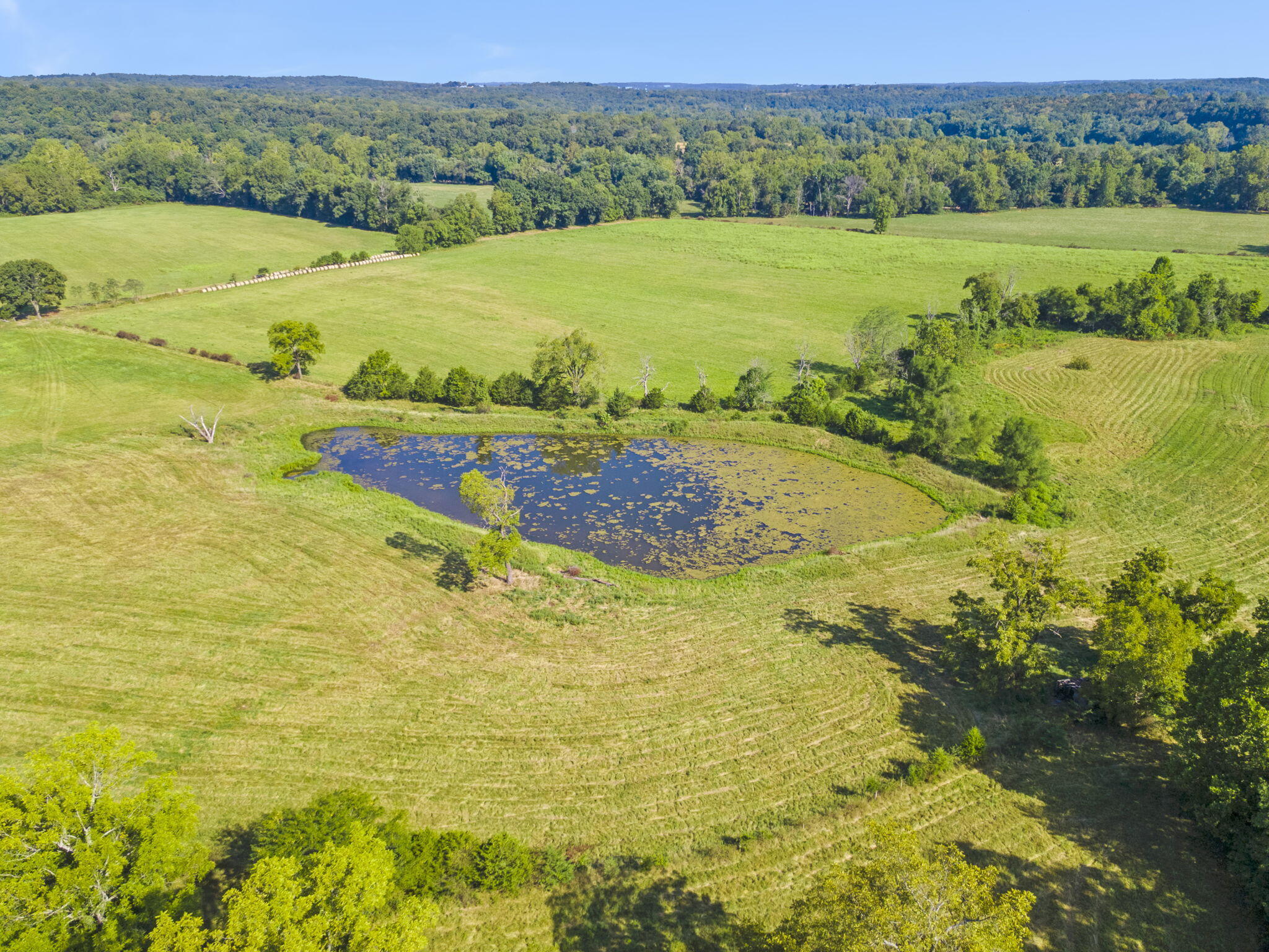 16311 Sunburst Road Property Photo 41
