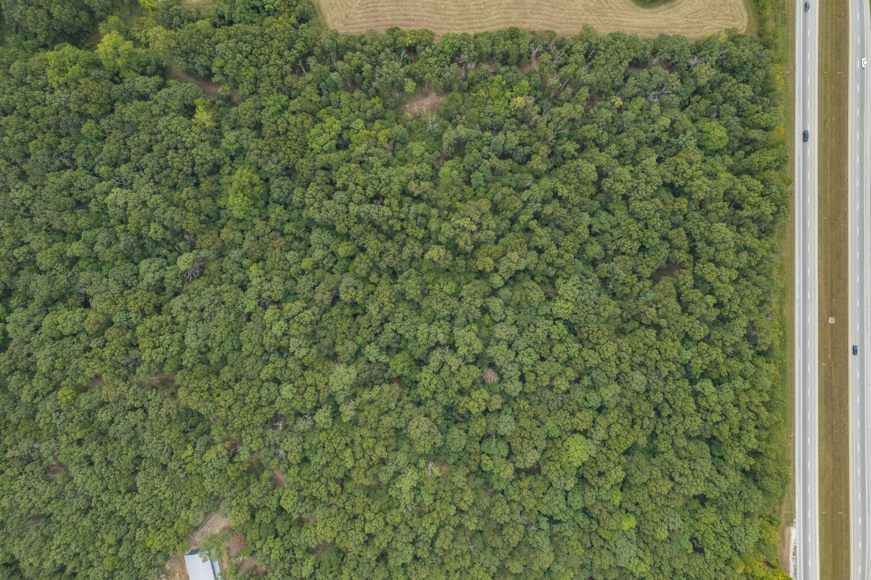 Lots 7-9 Raptor Lane Property Photo 29