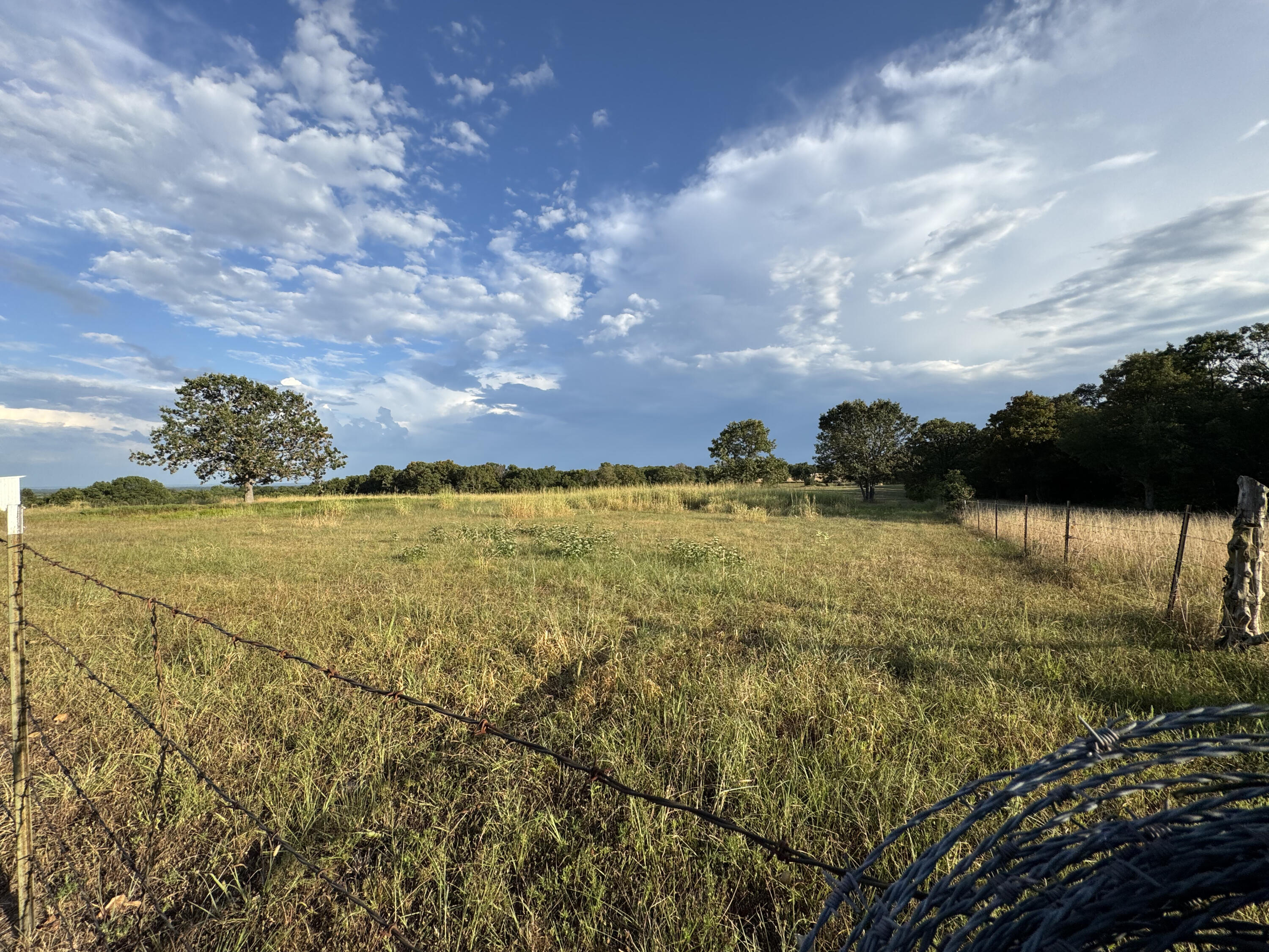 23211 Farm Road 2050 Property Photo 6