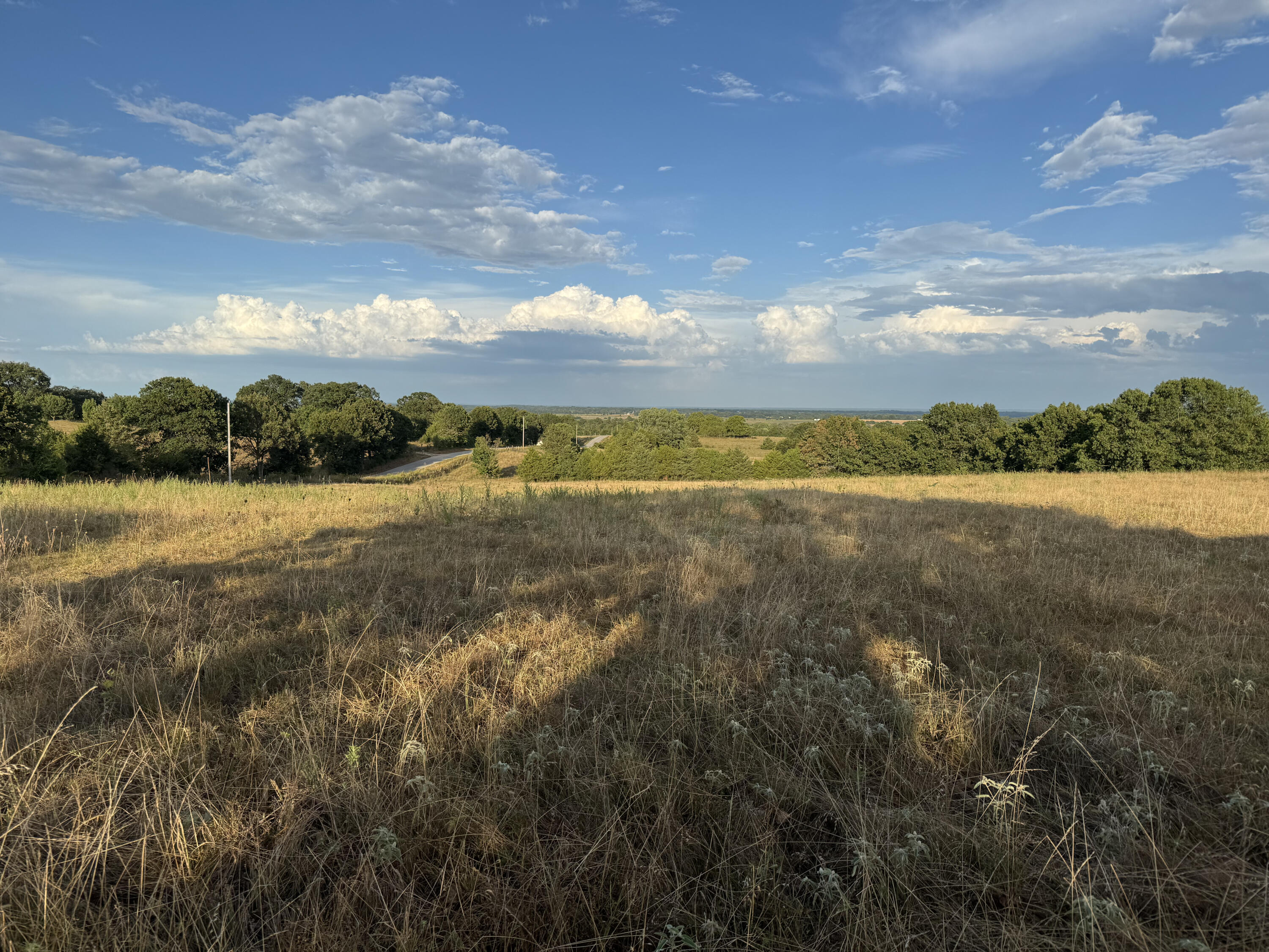 23211 Farm Road 2050 Property Photo 7