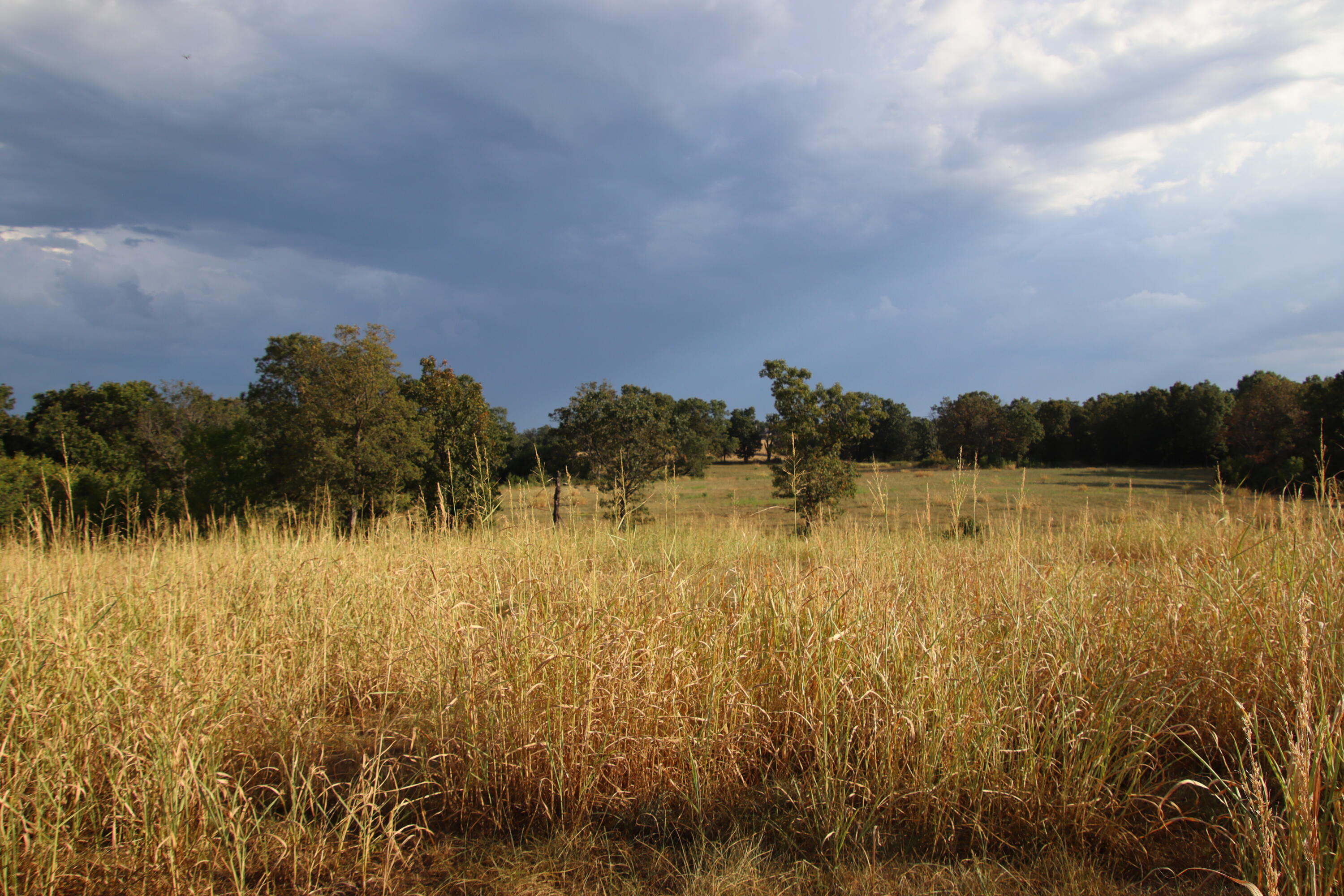 23211 Farm Road 2050 Property Photo 8