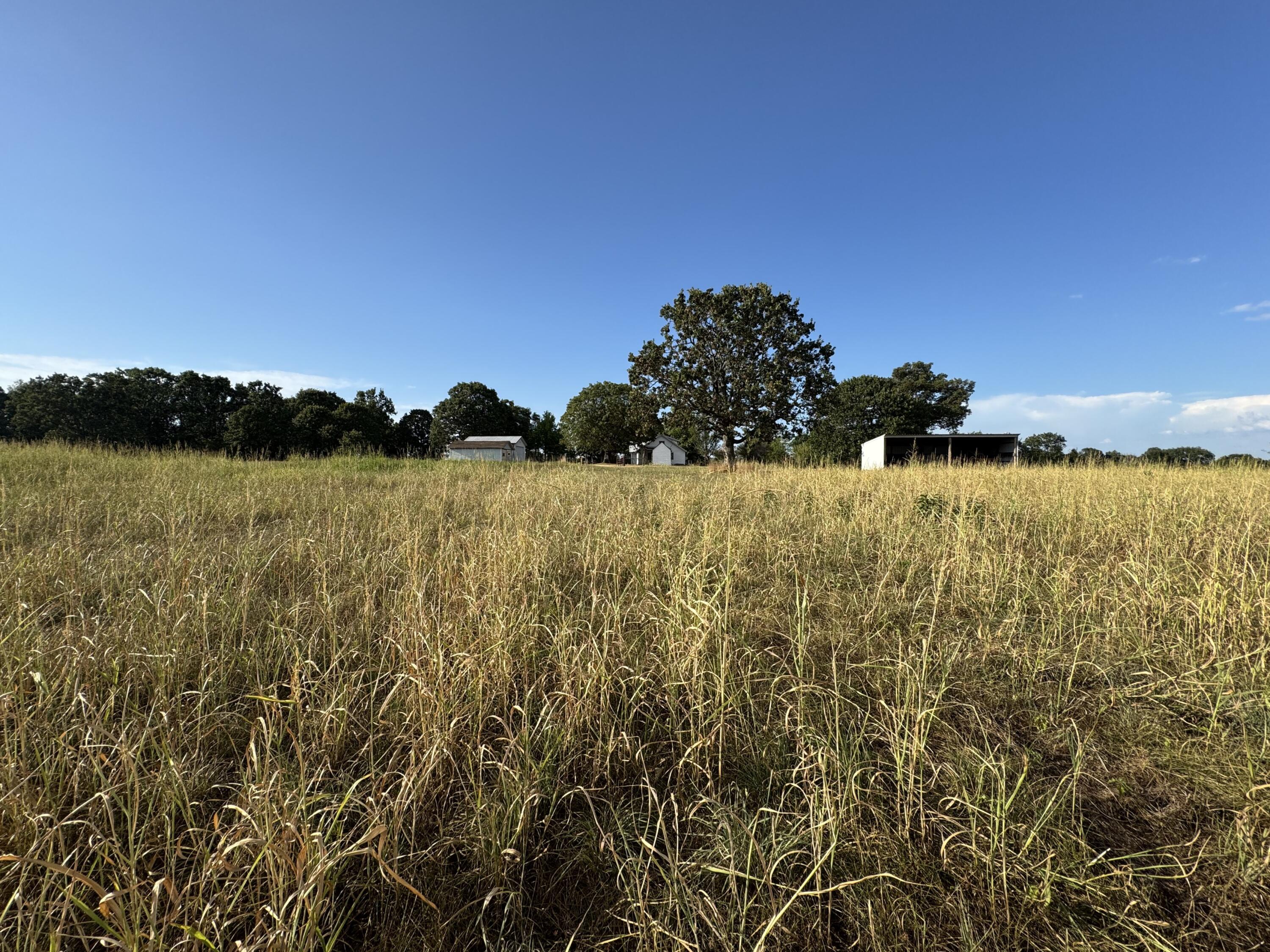 23211 Farm Road 2050 Property Photo 9