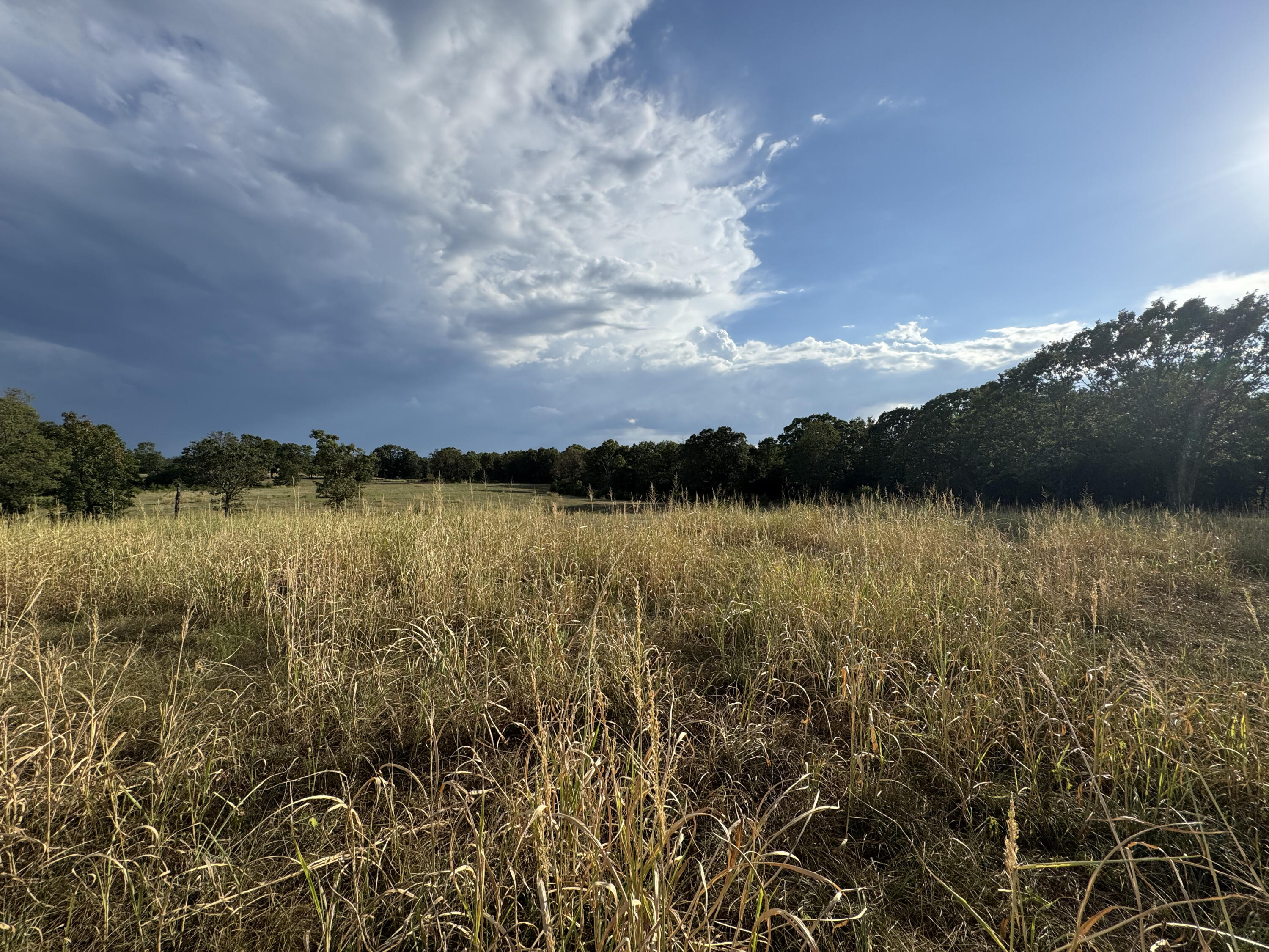 23211 Farm Road 2050 Property Photo 11