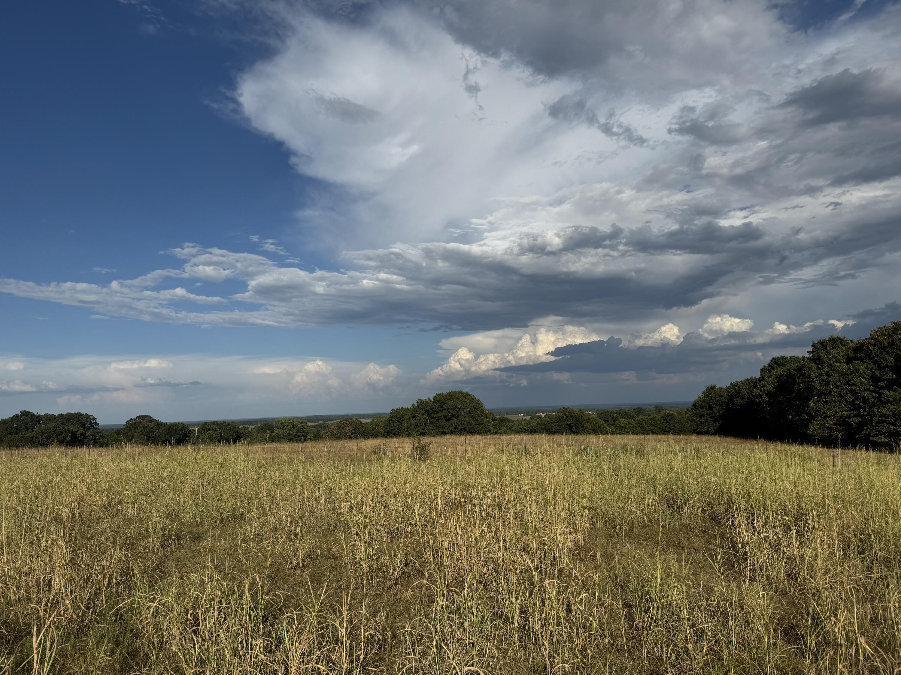 23211 Farm Road 2050 Property Photo 12