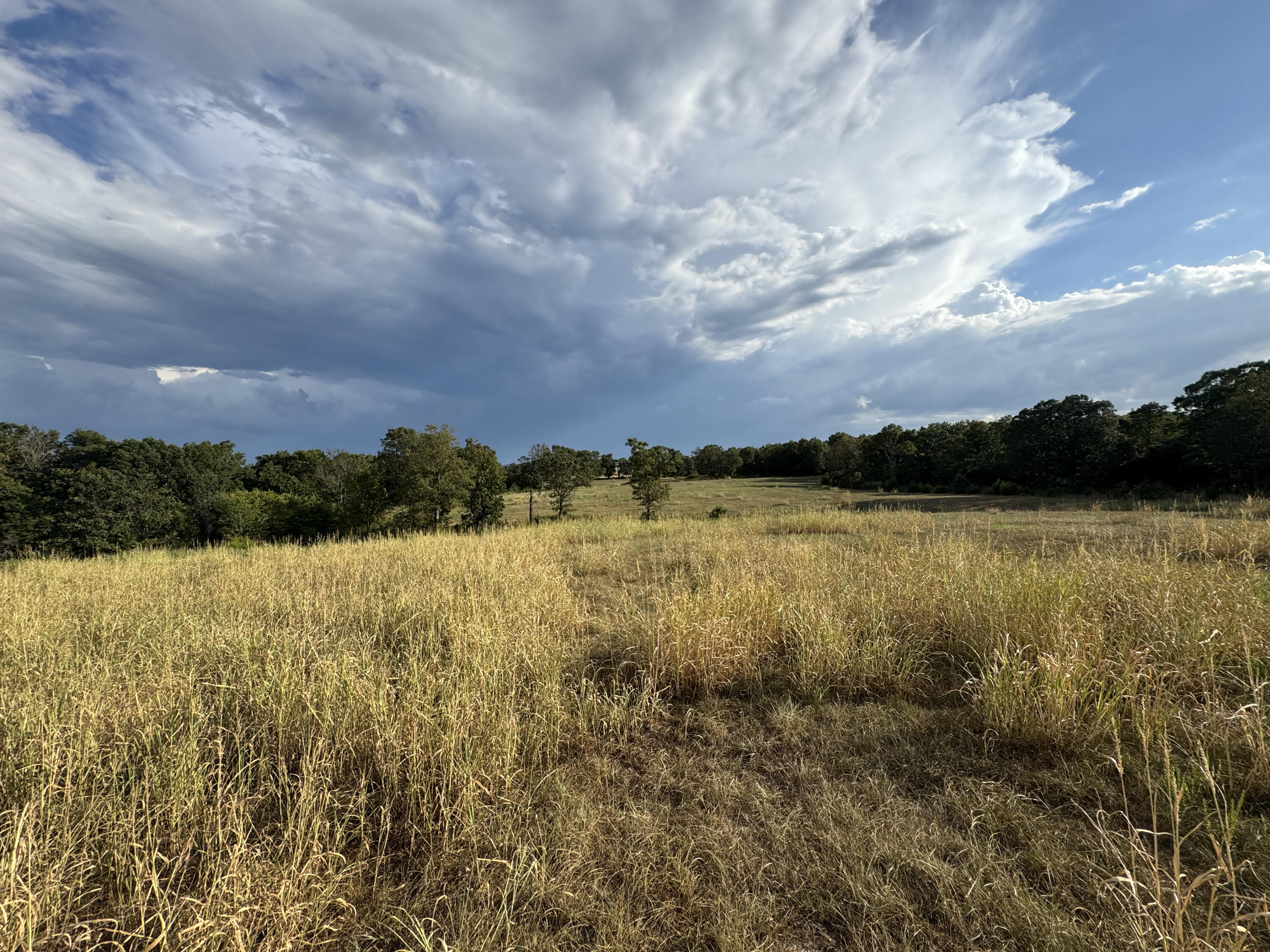 23211 Farm Road 2050 Property Photo 13