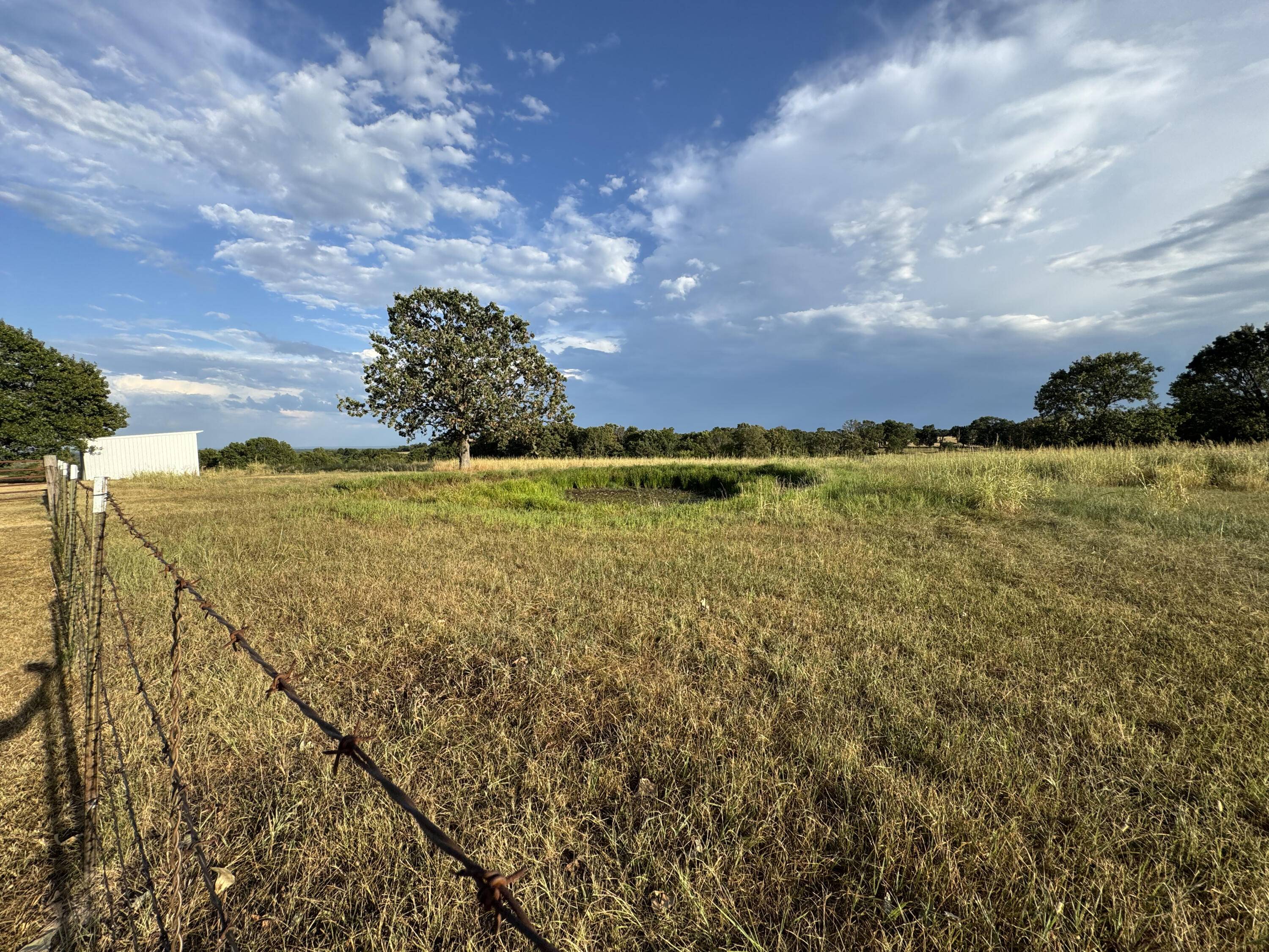23211 Farm Road 2050 Property Photo 15