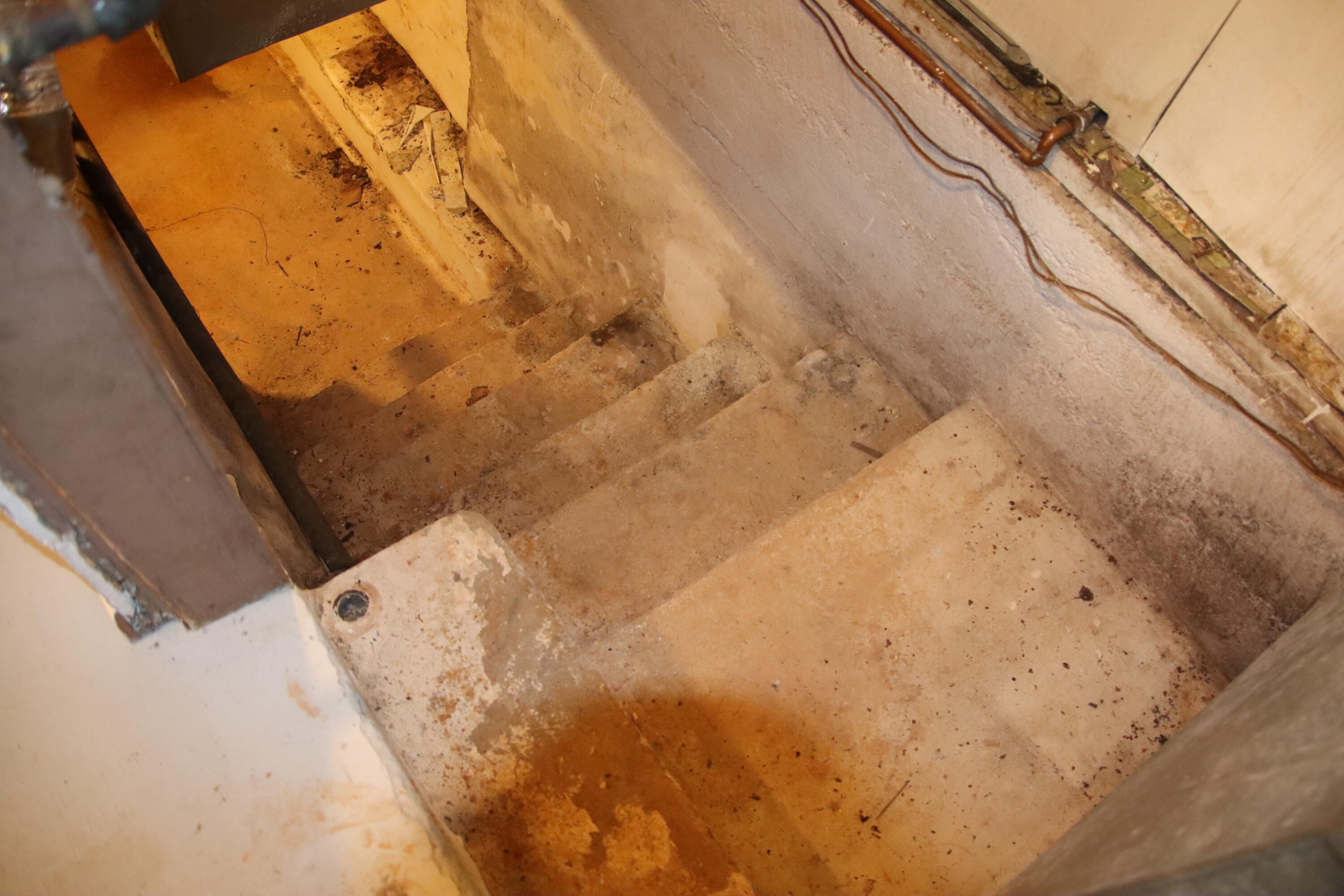 23211 Farm Road 2050 Property Photo 34