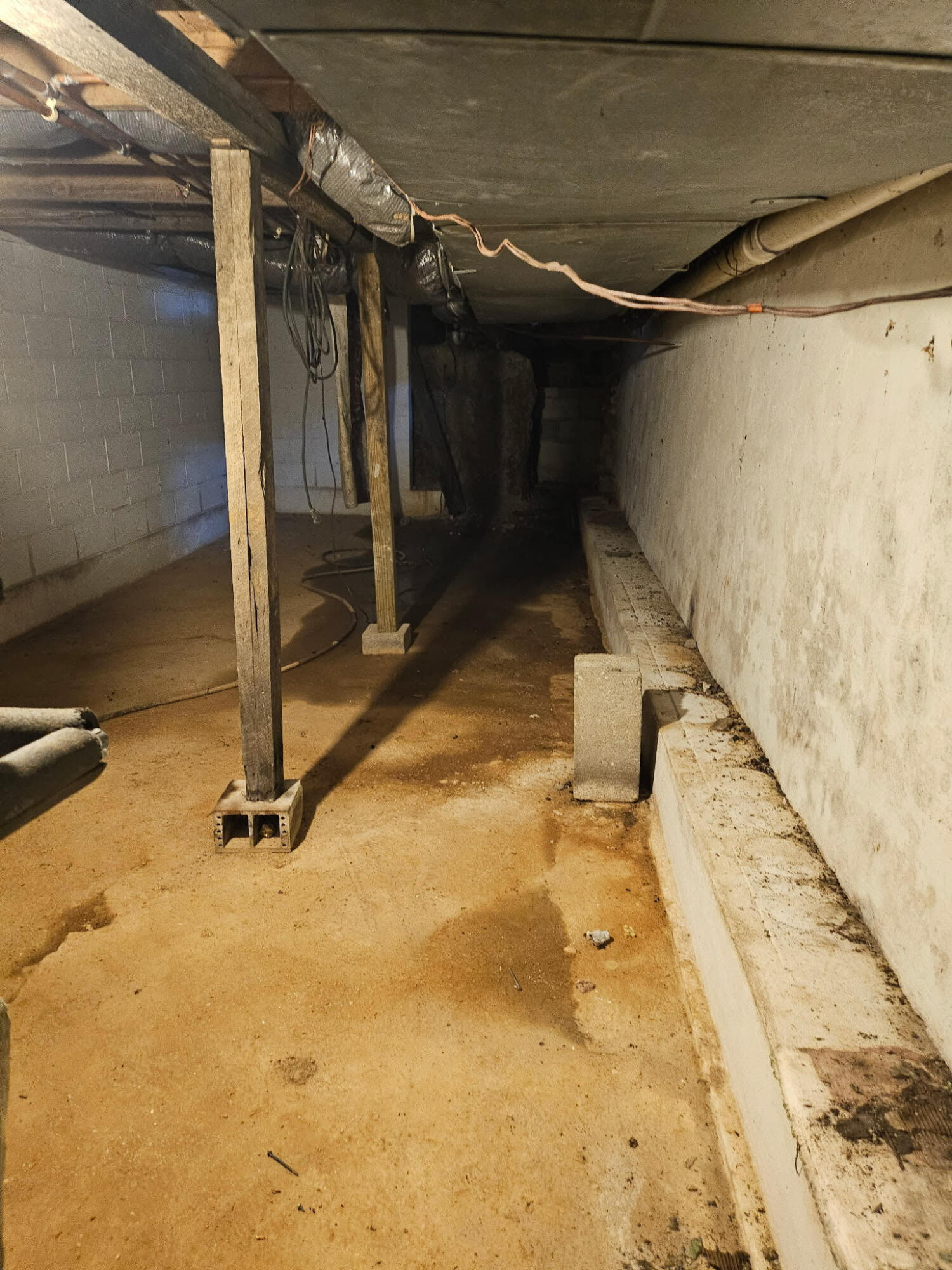 23211 Farm Road 2050 Property Photo 35