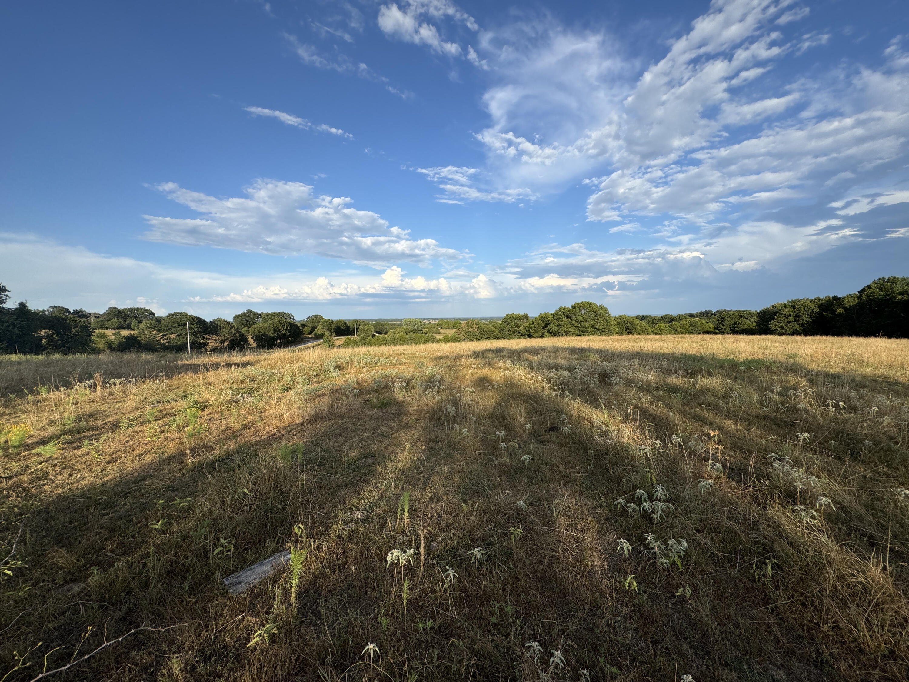 23211 Farm Road 2050 Property Photo 61