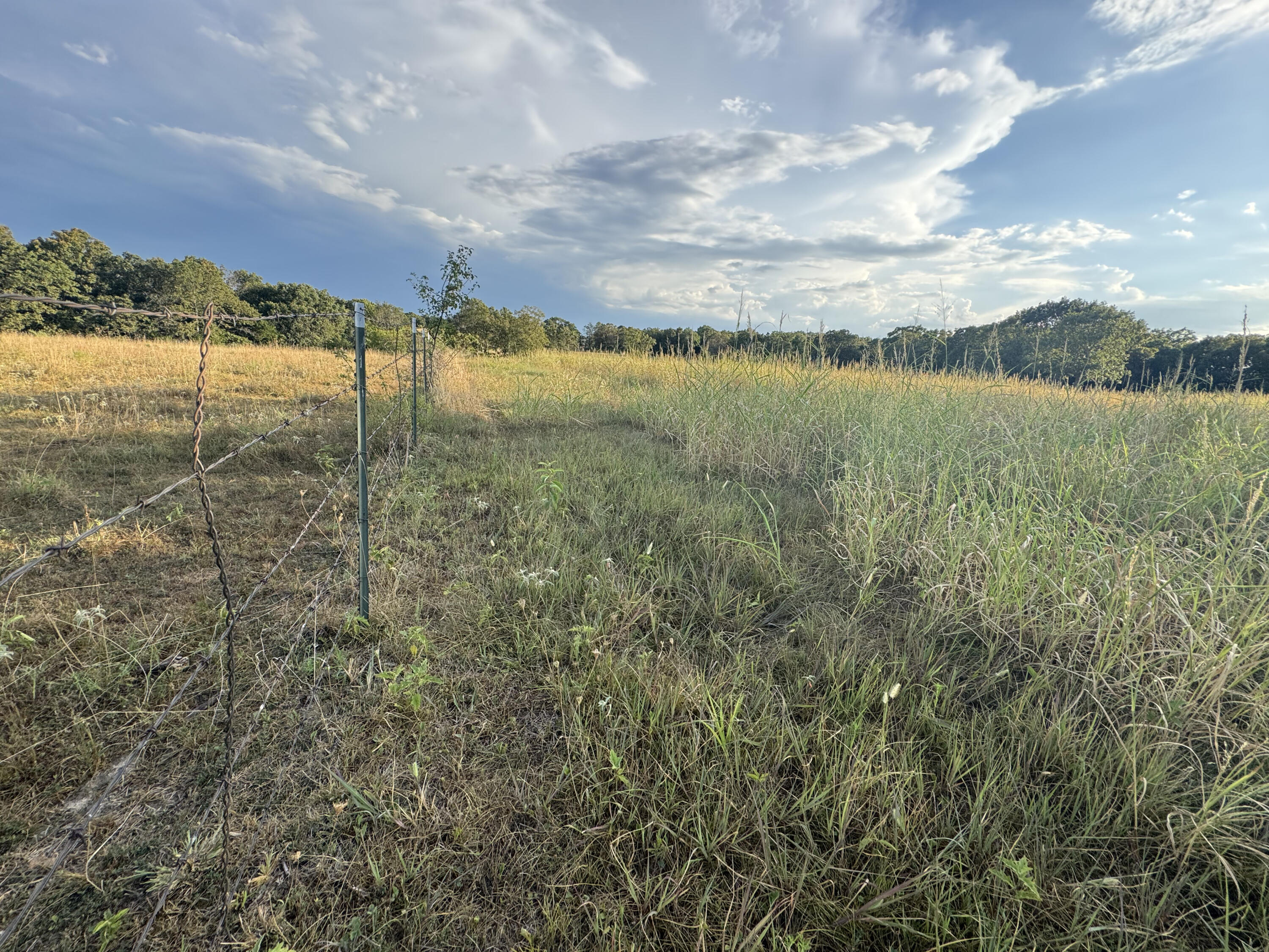 23211 Farm Road 2050 Property Photo 62