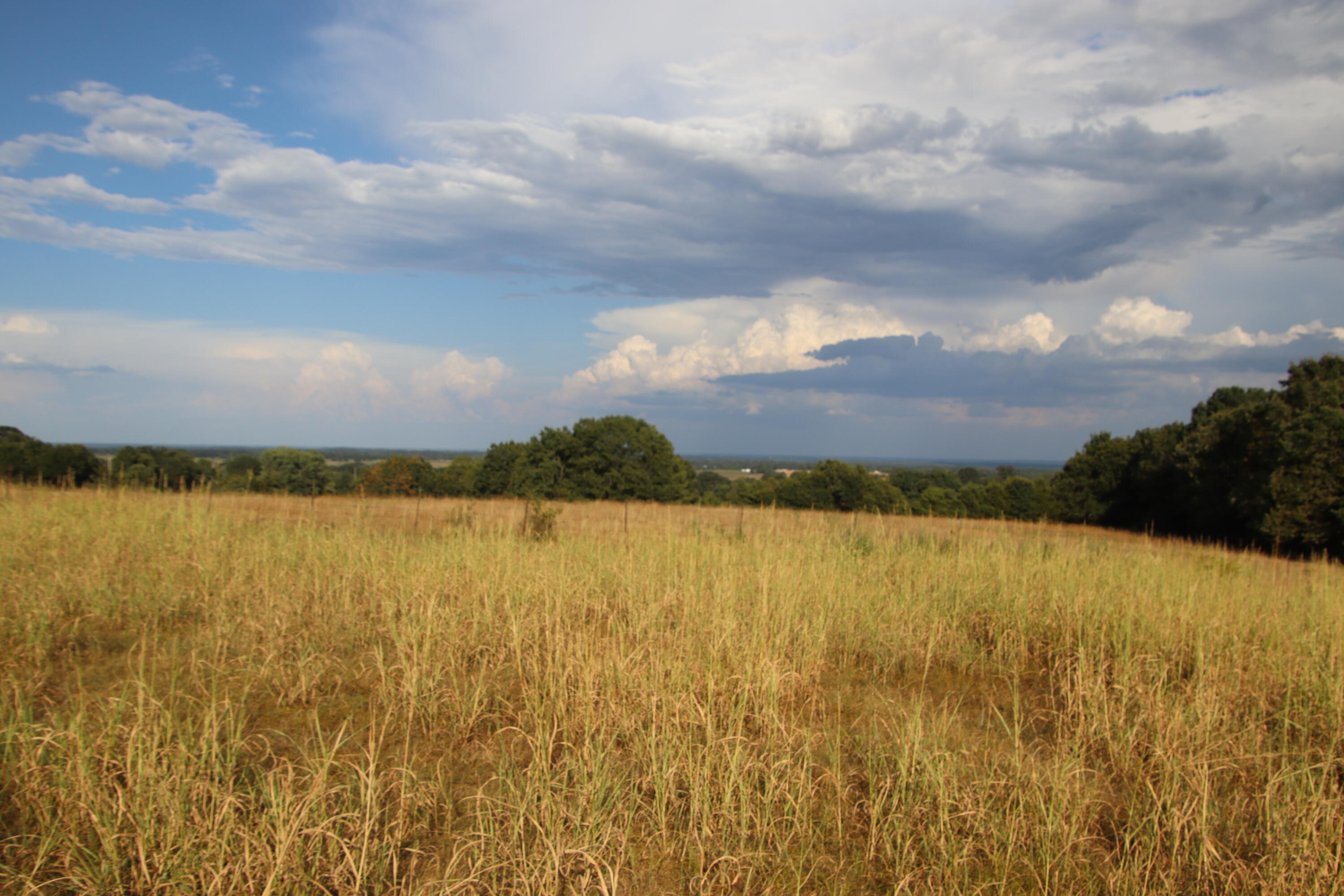 23211 Farm Road 2050 Property Photo 63