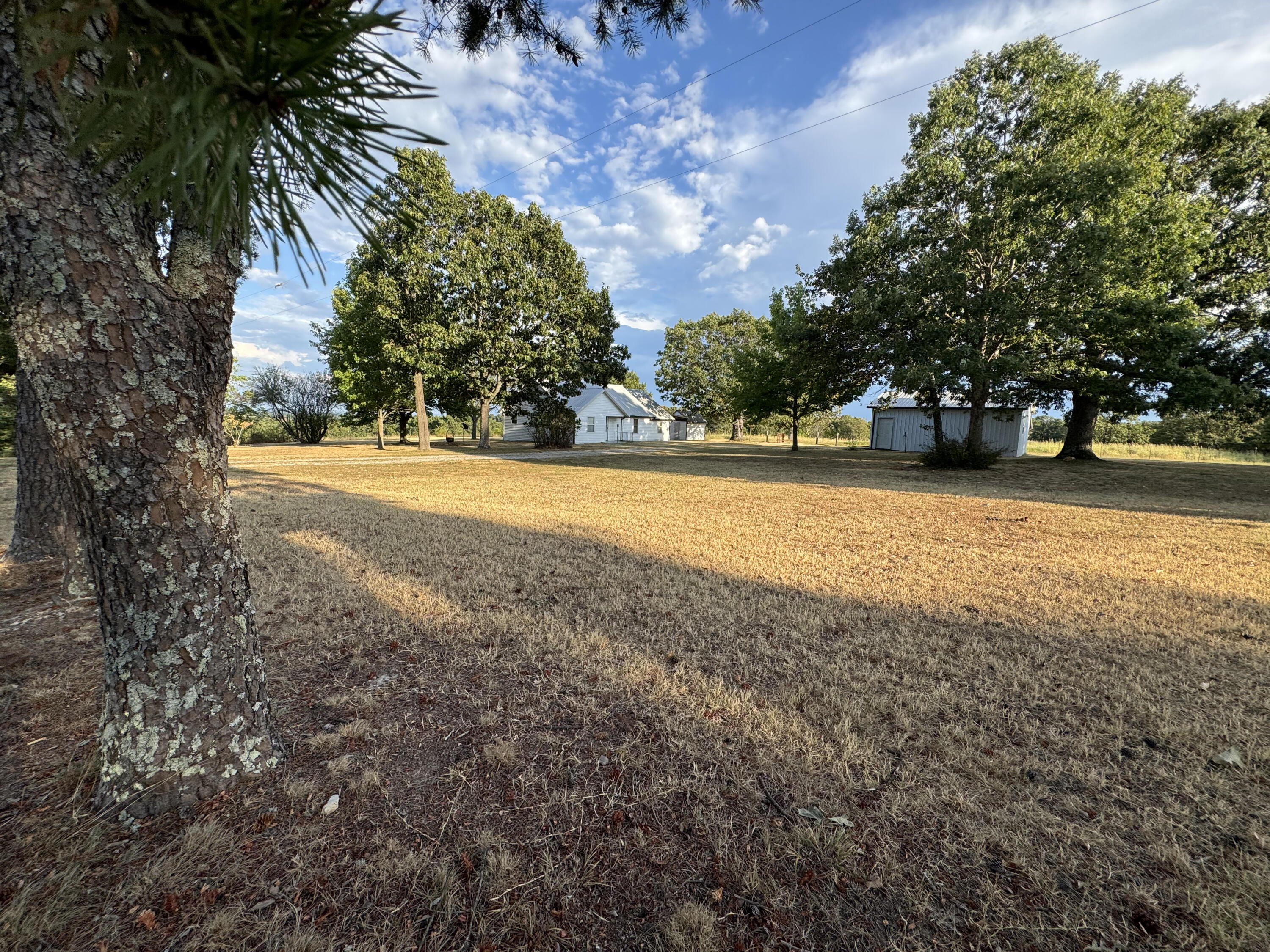 23211 Farm Road 2050 Property Photo 65