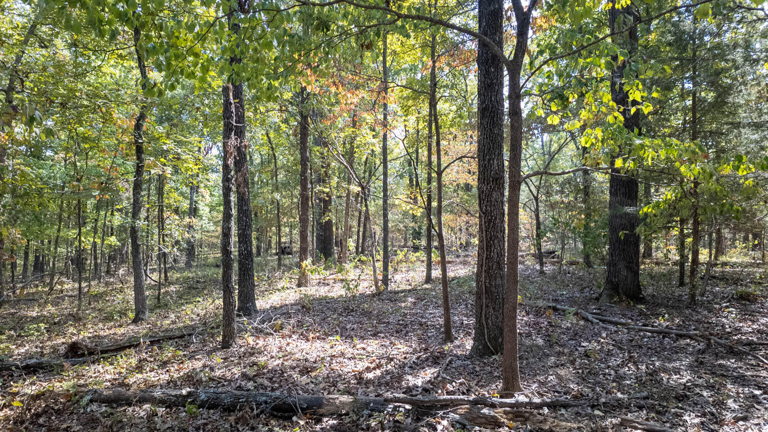 000 County Road 3540 Property Photo 5