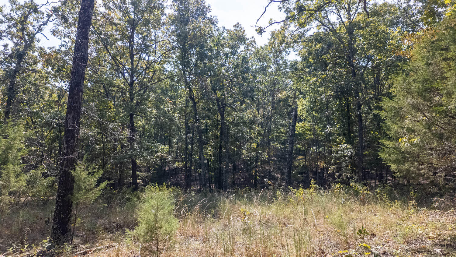 000 County Road 3540 Property Photo 10