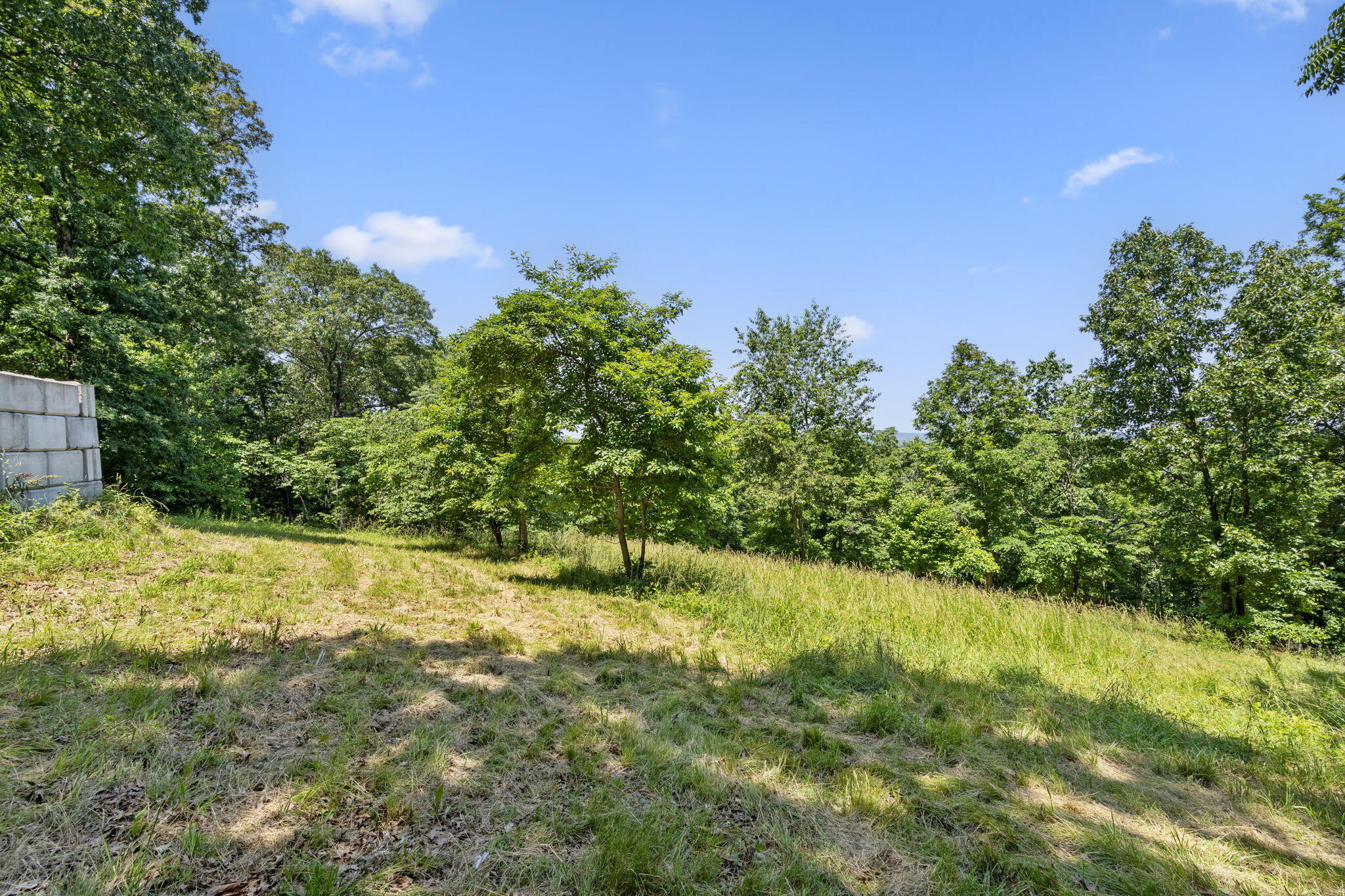 90 Little Fox Lane Property Photo 59