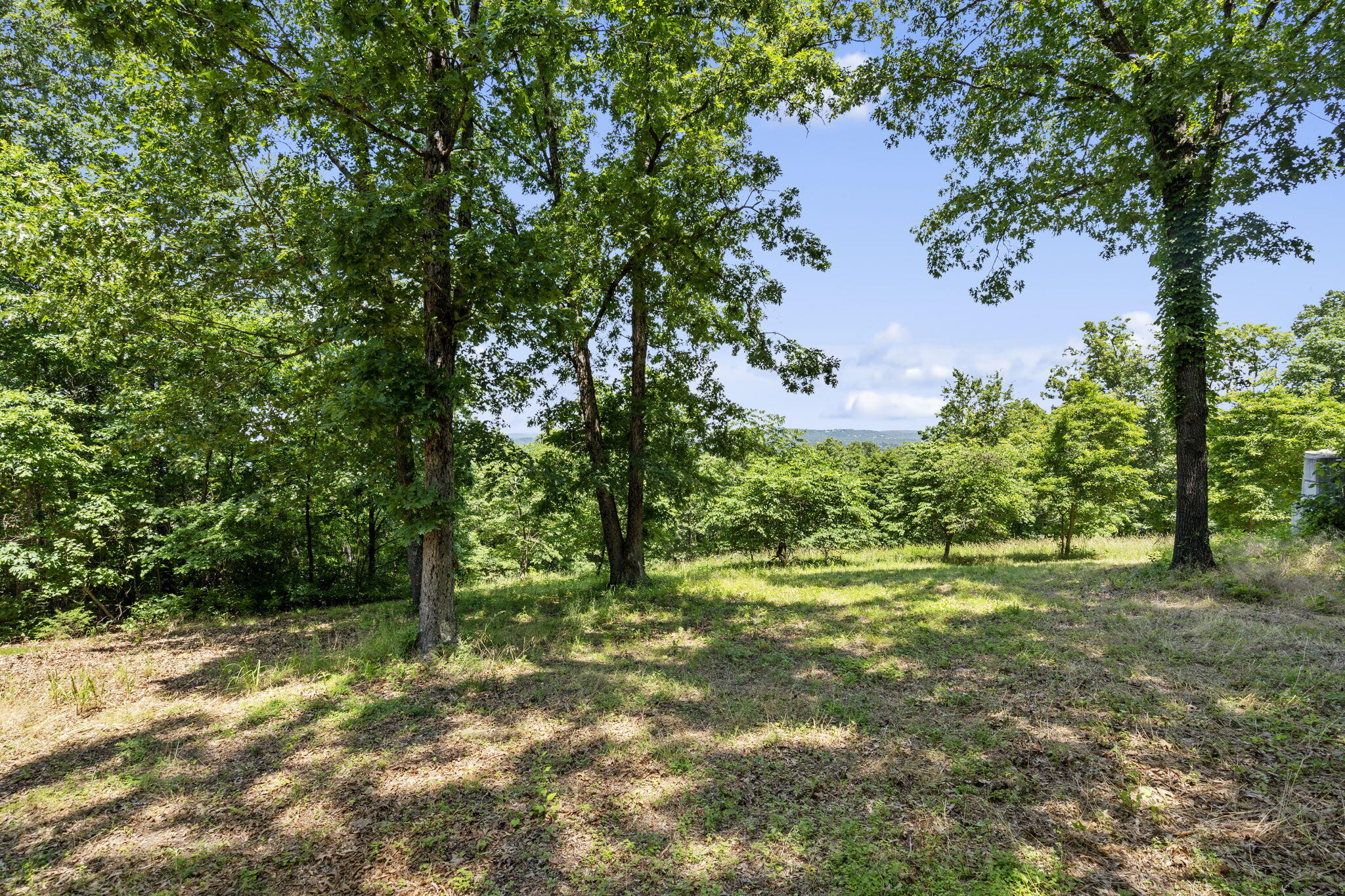 90 Little Fox Lane Property Photo 60