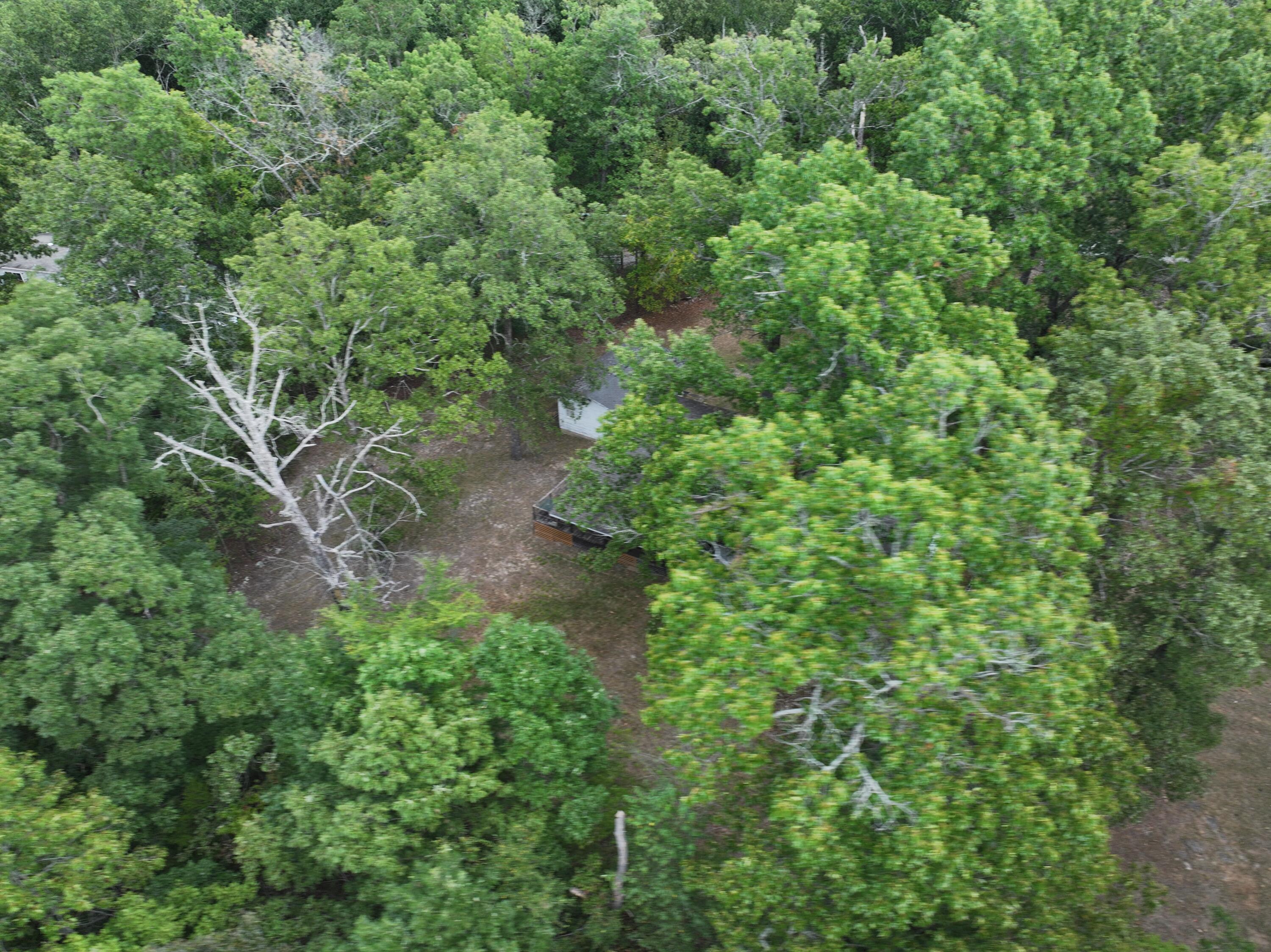 47 Conner Lane Property Photo 35