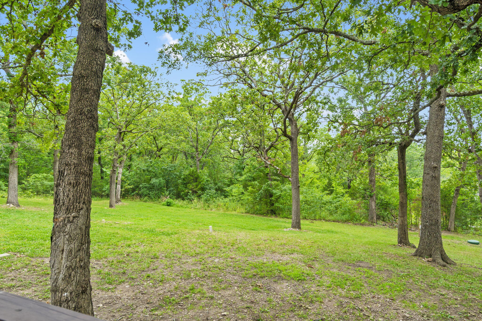 288 Black Oak Resort Lane Property Photo 11