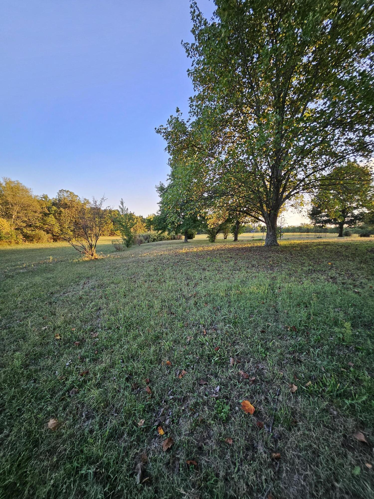4353 Lawrence 2220 Property Photo 50
