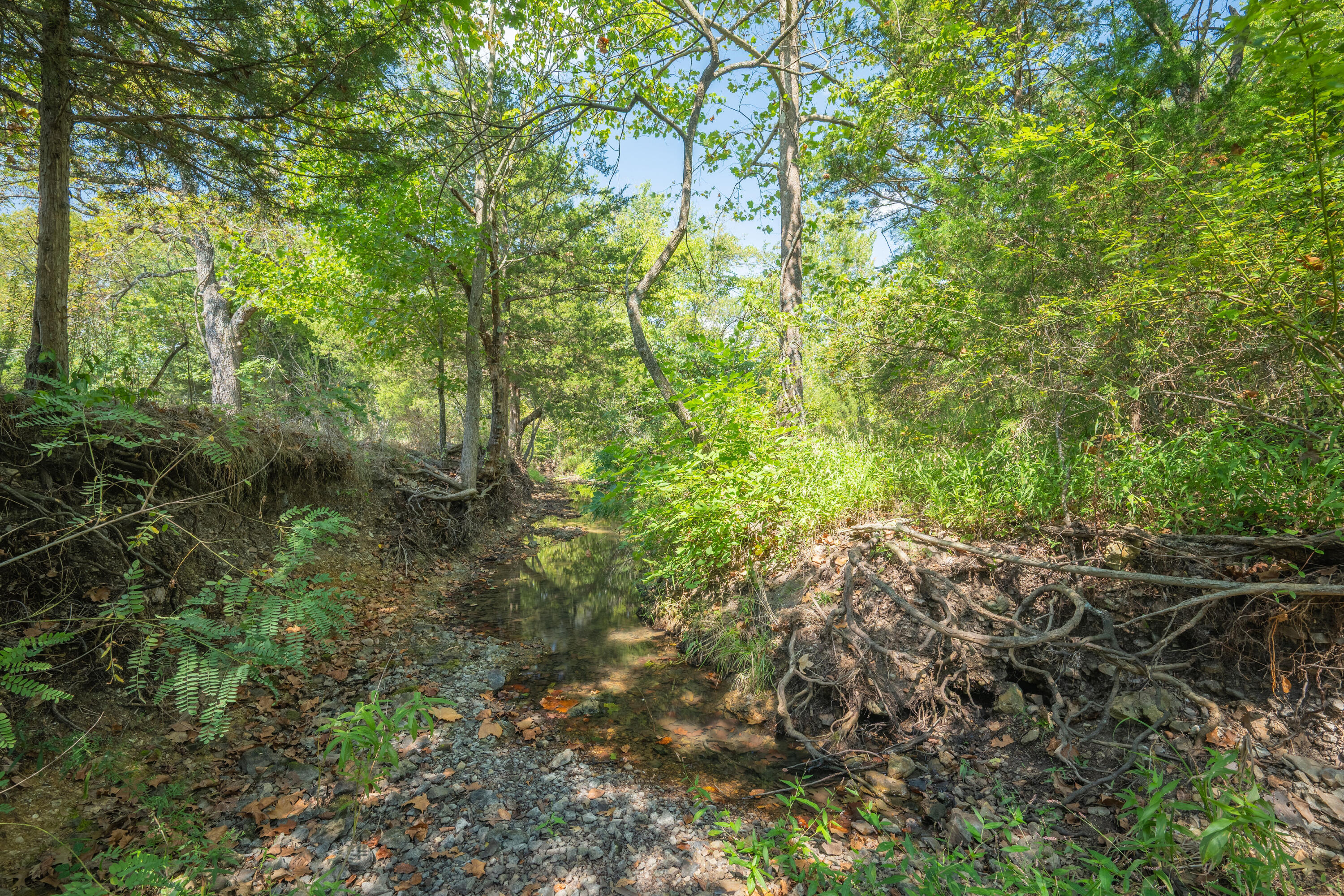 21399b Mulberry Road Property Photo 23