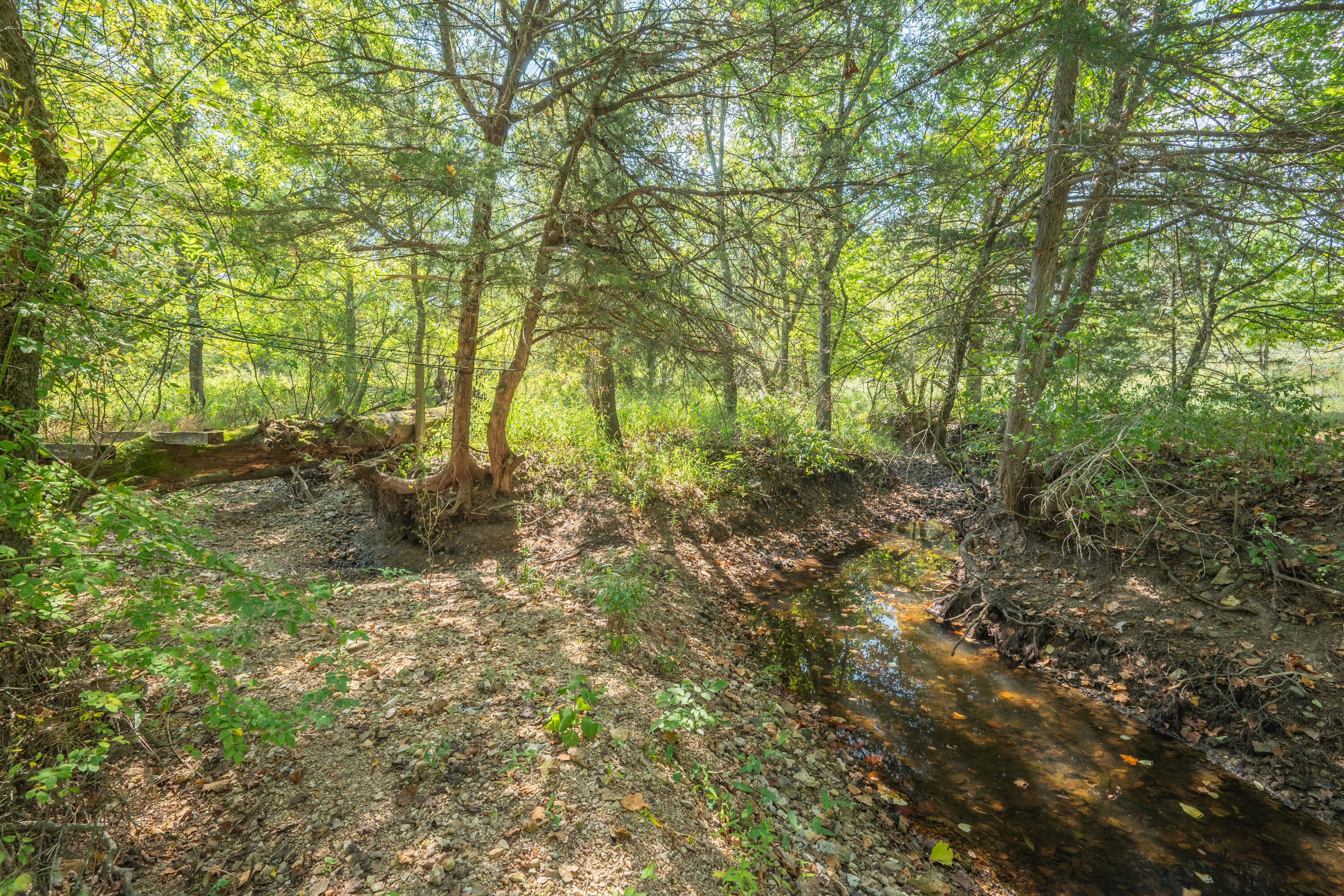 21399b Mulberry Road Property Photo 24