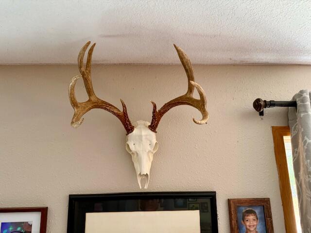 12528 County Road 610 Property Photo 17