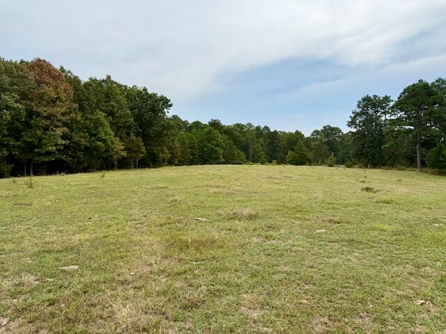 12528 County Road 610 Property Photo 21