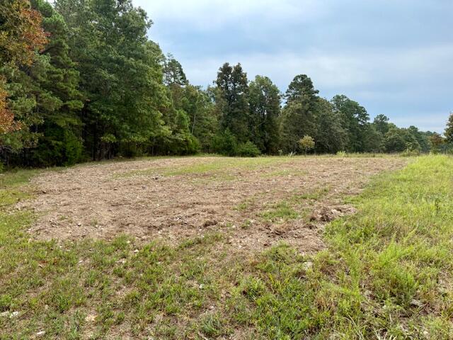 12528 County Road 610 Property Photo 25