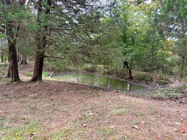 12528 County Road 610 Property Photo 27