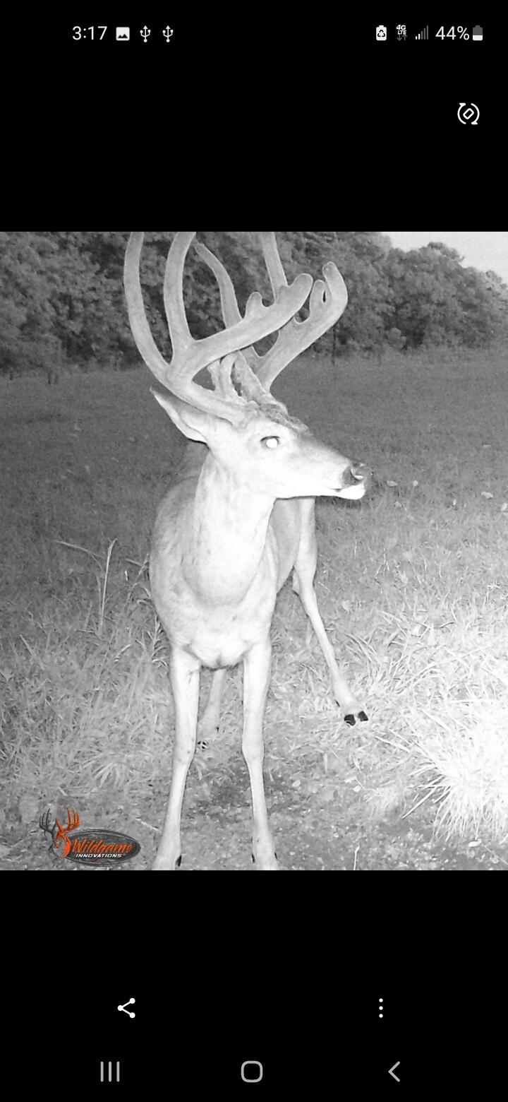 12528 County Road 610 Property Photo 28