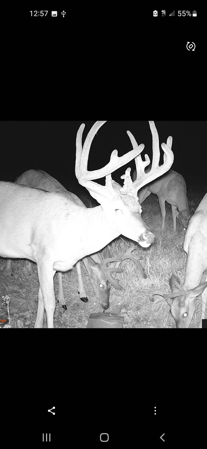 12528 County Road 610 Property Photo 29