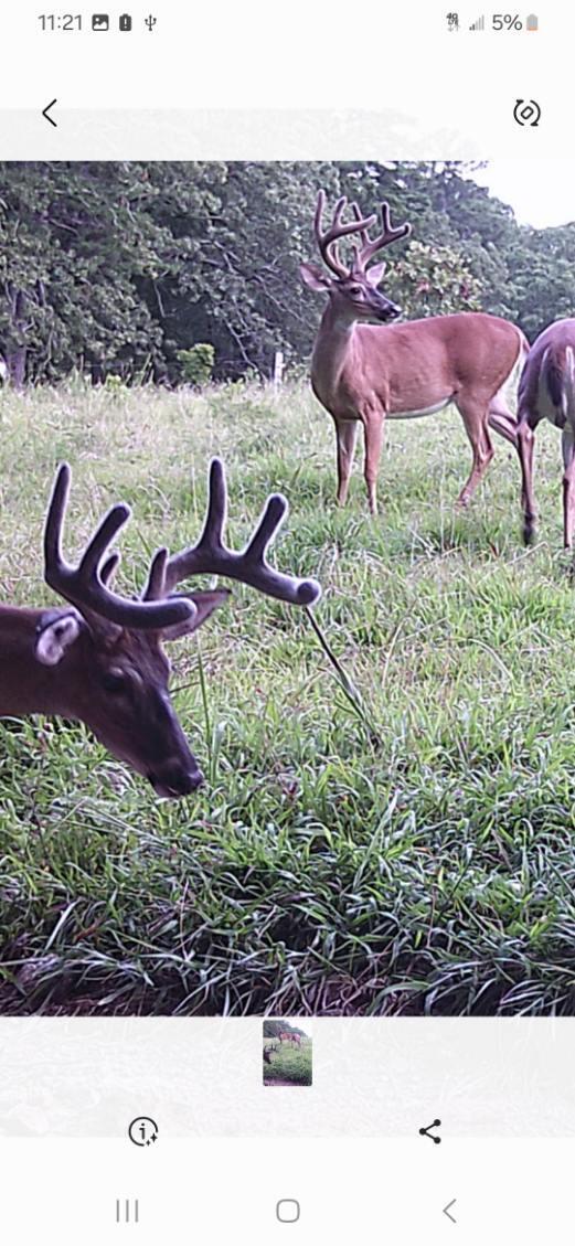 12528 County Road 610 Property Photo 30