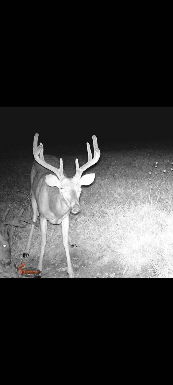 12528 County Road 610 Property Photo 31