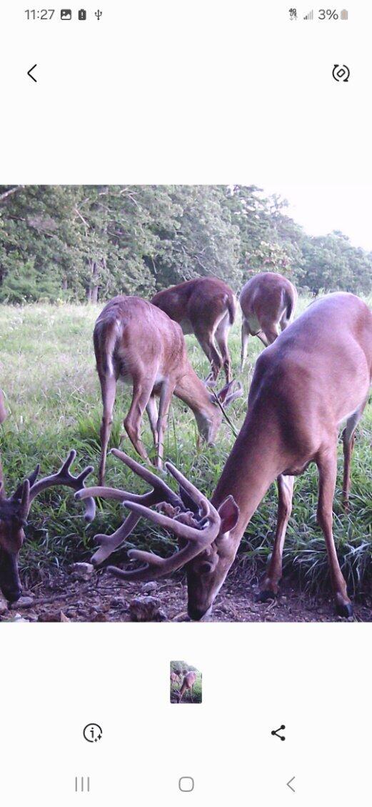 12528 County Road 610 Property Photo 32