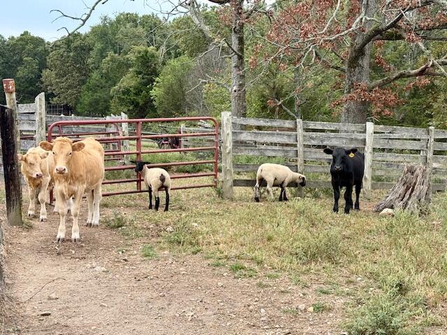 12528 County Road 610 Property Photo 35