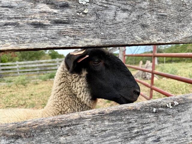 12528 County Road 610 Property Photo 36