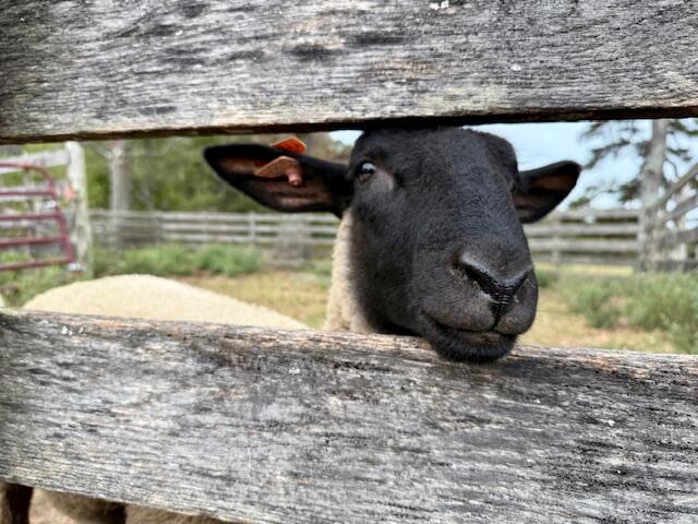 12528 County Road 610 Property Photo 37