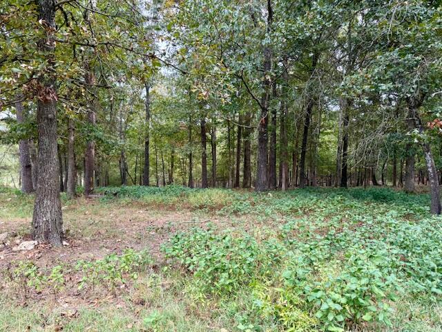 12528 County Road 610 Property Photo 39