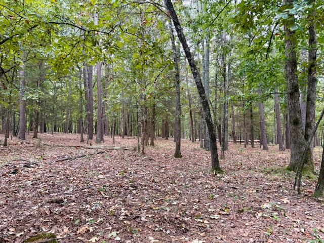 12528 County Road 610 Property Photo 40