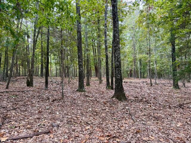 12528 County Road 610 Property Photo 41