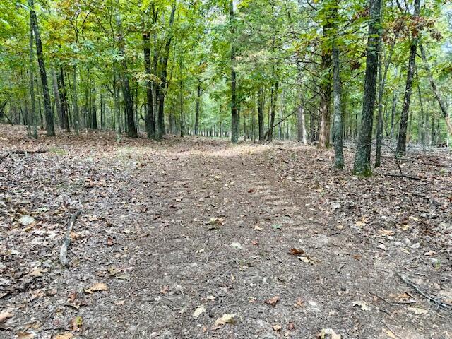 12528 County Road 610 Property Photo 42