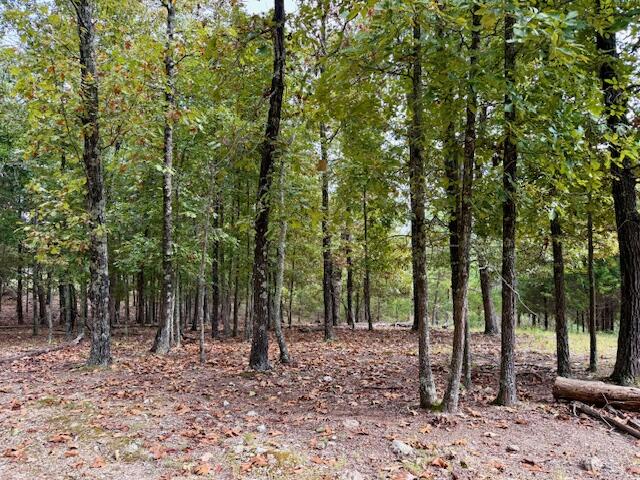 12528 County Road 610 Property Photo 43