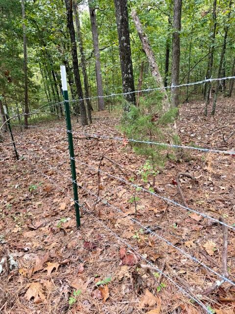 12528 County Road 610 Property Photo 44