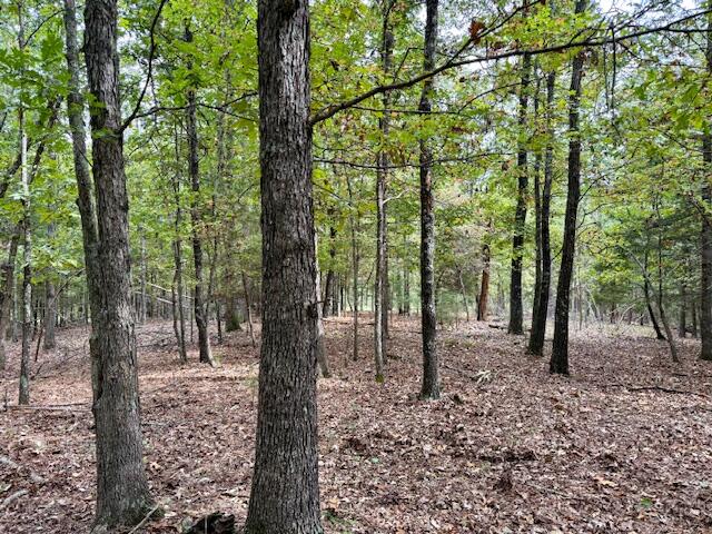 12528 County Road 610 Property Photo 45