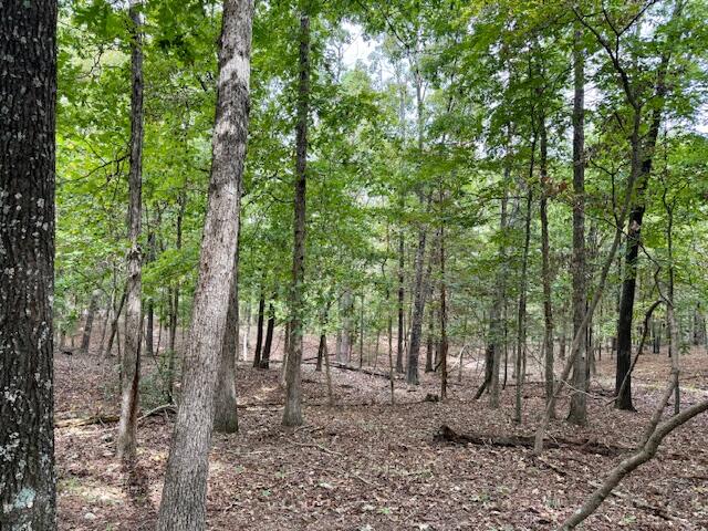 12528 County Road 610 Property Photo 46